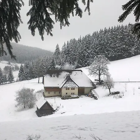 Ferienwohnung Am Sagberg Санкт-Георген-им-Шварцвальд
